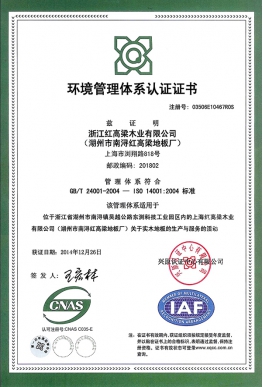 Environmental system certification