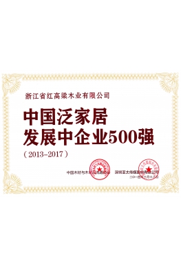 中国泛家居发展中企业